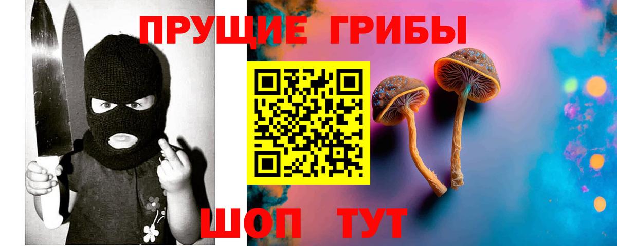 Галлюциногенные грибы Psilocybe  Вход с VPN  Орехово-Зуево 