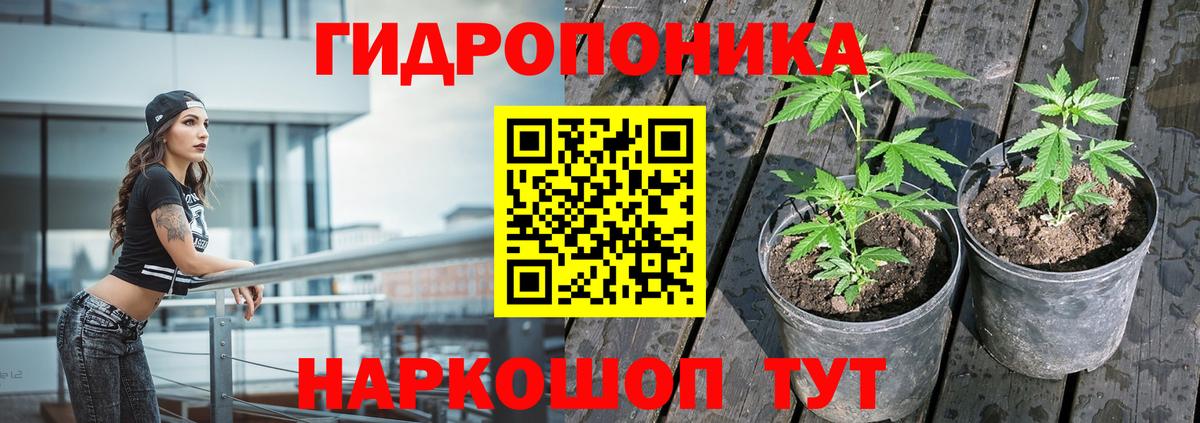 Конопля сатива Орехово-Зуево